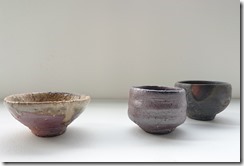 hirabayashi hirabayashi